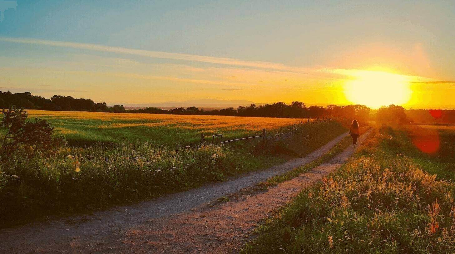 A path at sunset